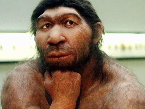 A neandervölgyi ember készíthette az első barlangrajzokat