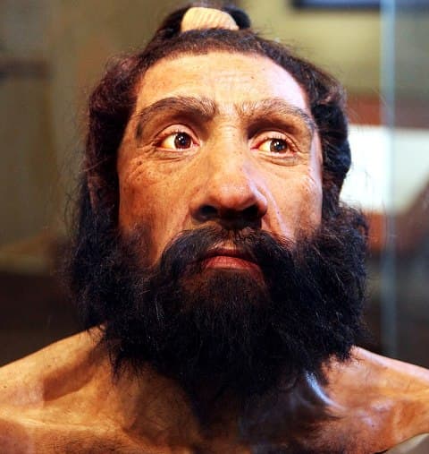 Gyakori betegség volt az úszófül a neandervölgyi embernél
