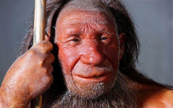 Finommotoros képességekkel rendelkezett a neandervölgyi ember