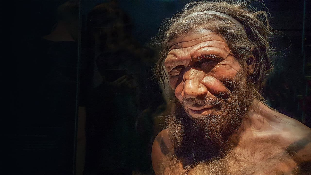 Kiderült, mi okozhatta a neandervölgyi ember kihalását