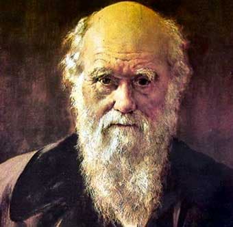 Több mint félmillió dollárért kelt el Darwin A fajok eredete című könyve