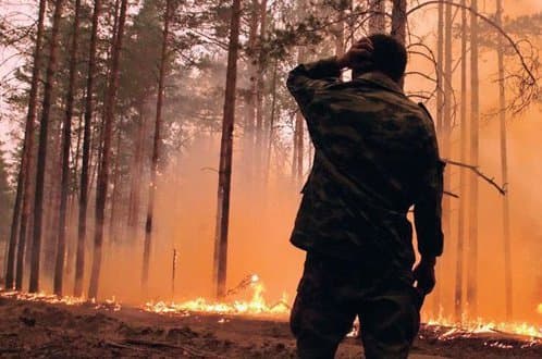 Portugáliát sújtják a legjobban az erdőtüzek Európában