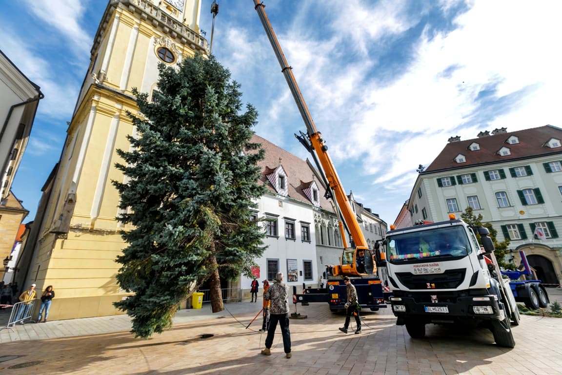 Megérkezett Pozsony Fő terére a karácsonyfa! (FOTÓK)