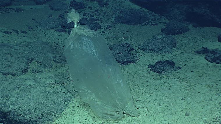 Műanyag szemetet talált az óceánban az eddig legmélyebbre merülő búvár