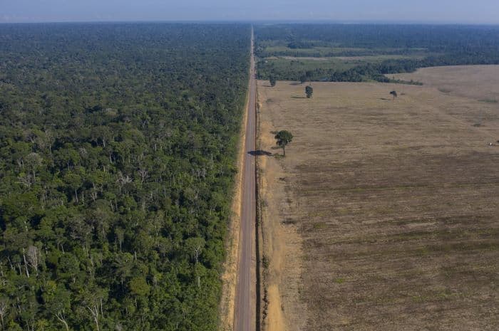 Évtizedes csúcsot ért el az erdőirtás az Amazonas brazíliai térségében
