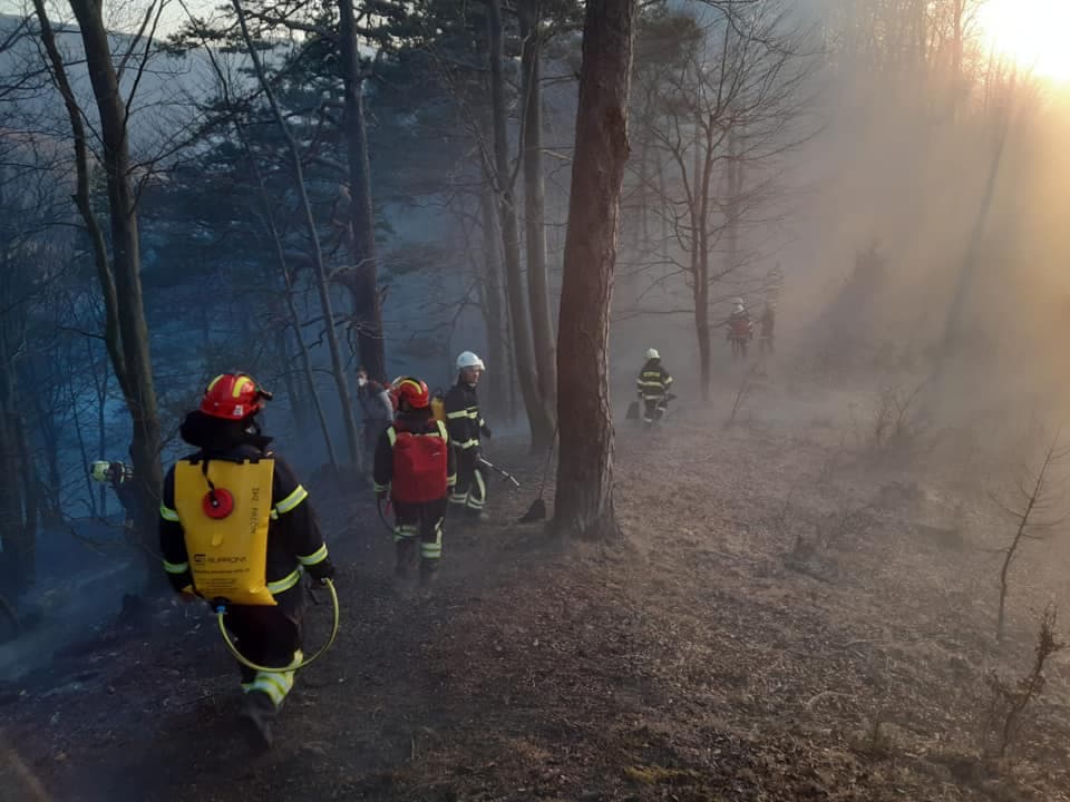 Emberpróbáló területen lángolt az erdő – több mint 50 tűzoltó küzdött a tűzzel (FOTÓK)