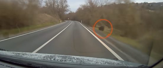 VIDEÓ: Senki nem tudja, hogy mit láttak pontosan az út mellett, de rémisztő volt