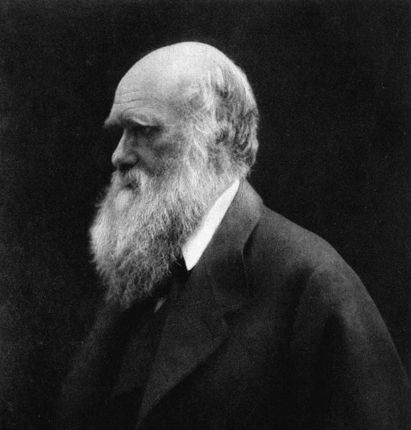 Akár egymillió fontért is elkelhet Darwin egy aláírt kézirata (FOTÓ)