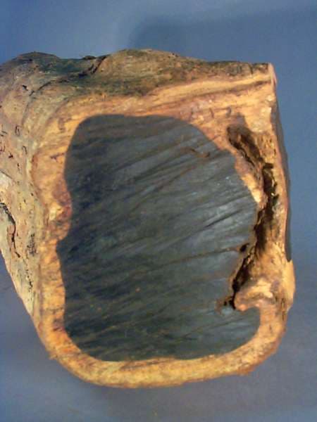 Svájci kutatók a trópusi ébenfához hasonló faanyagot fejlesztettek ki hangszerek készítésére
