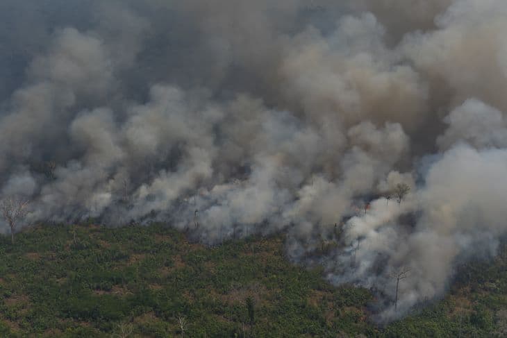 Tízéves csúcsot ért el tavaly az erdőtüzek száma Brazíliában