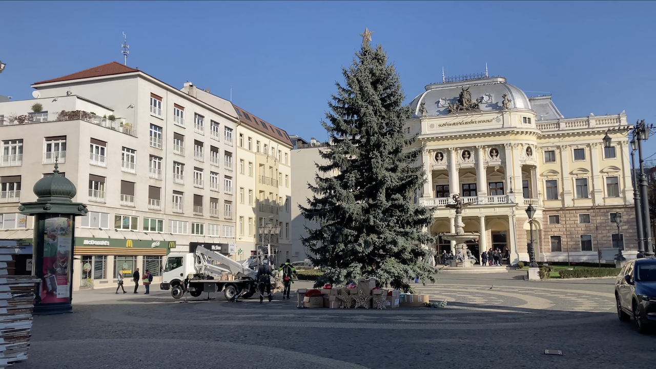 Csallóközből kapott karácsonyfát a pozsonyi önkormányzat – VIDEÓ