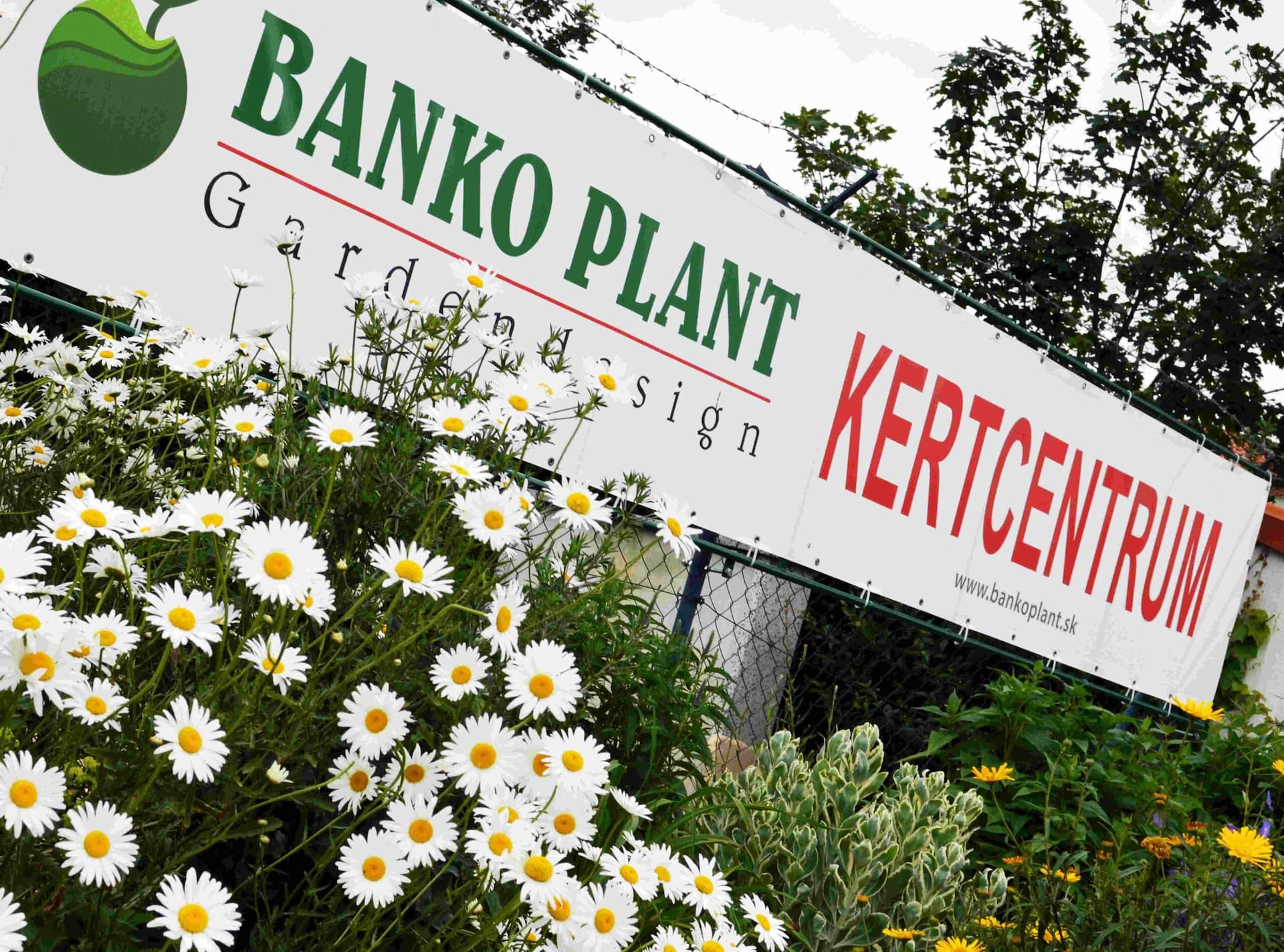 BANKOPLANT: Tavasz végi kiárusítás a dunaszerdahelyi kertcentrumban