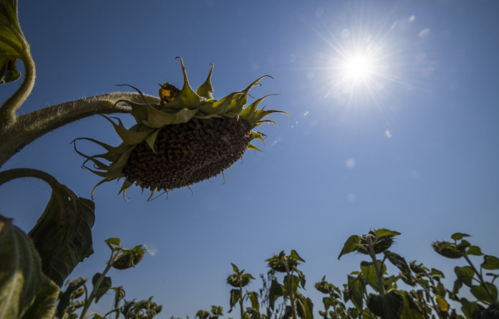 A forróság nem hátrál - pénteken Szlovákia nyugati részén akár 35 fokot is mérhetnek